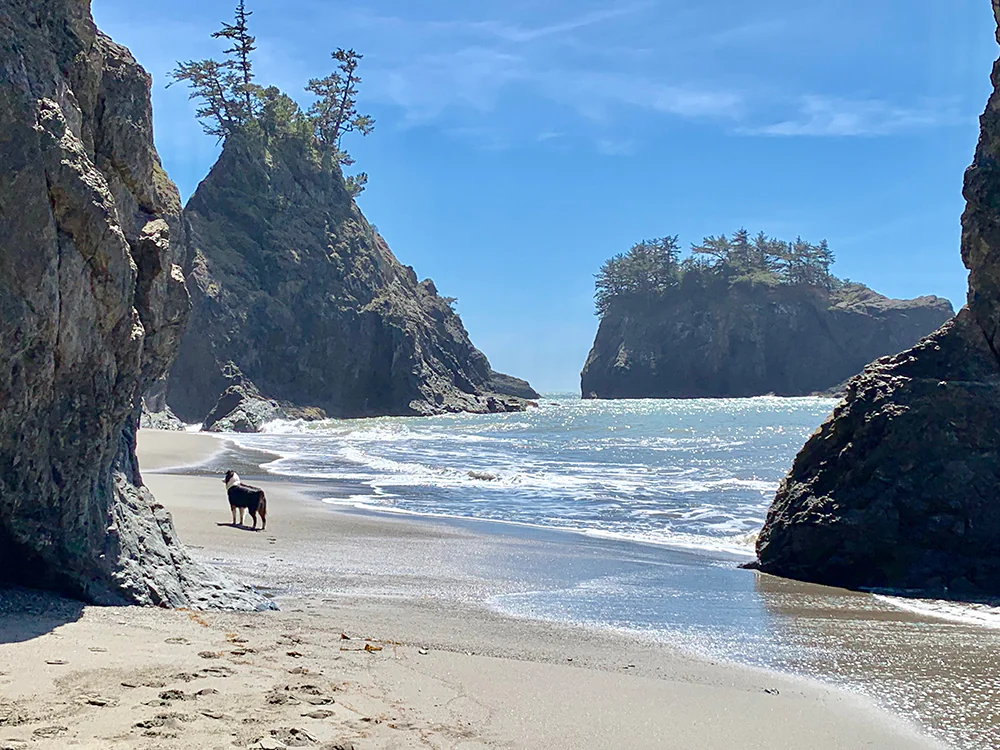 Brookings Oregon