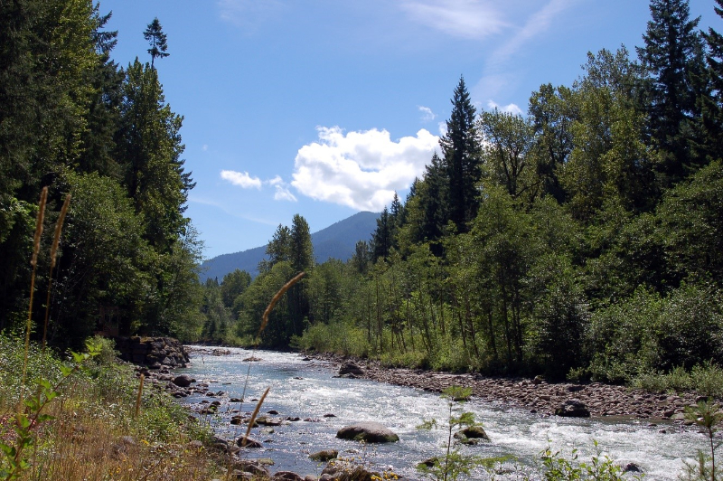 The Art of Real Estate Coastal Oregon Adventures Coastal Oregon